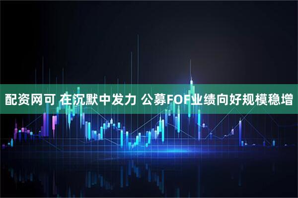 配资网可 在沉默中发力 公募FOF业绩向好规模稳增